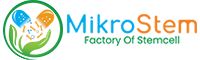 MikroStem